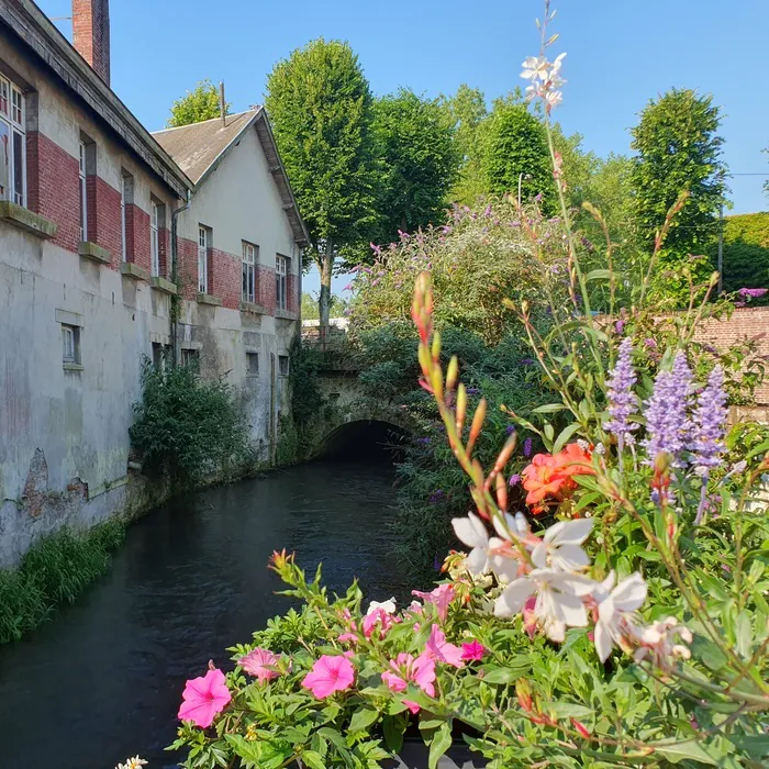 Visite 'au fil de la Canche' Office de Tourisme des 7 Vallées Hesdin