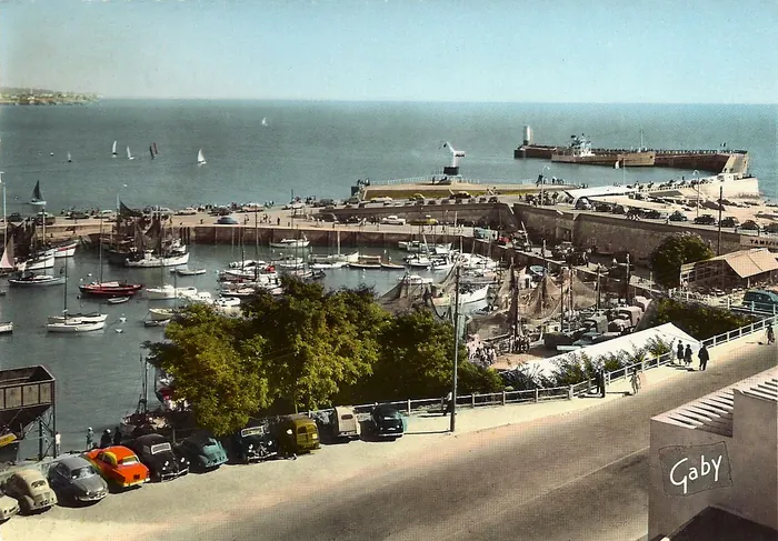 Visite accompagnée d'un guide du port de Royan Palais des congrès de Royan Royan