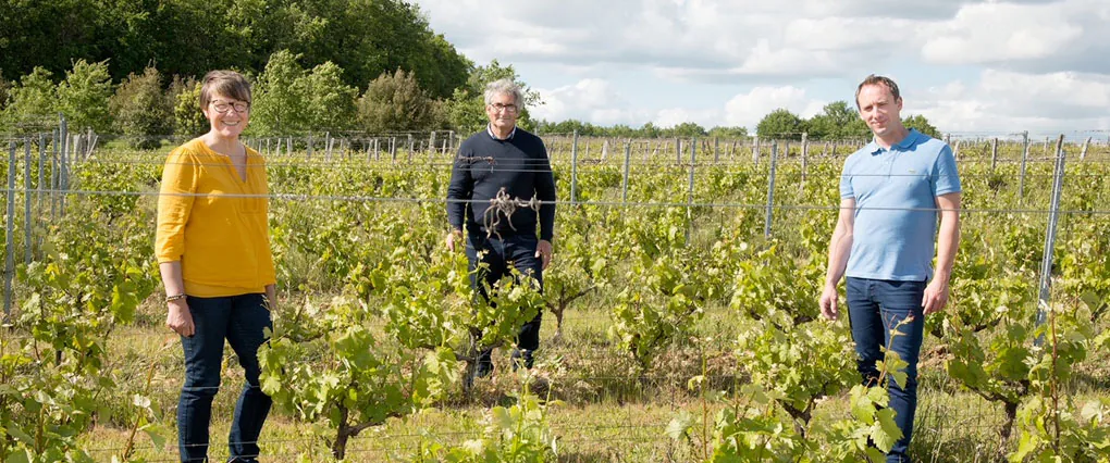 Journée découverte du métier passionnant de vigneron au Domaine Charles Pain Tout sur le vin