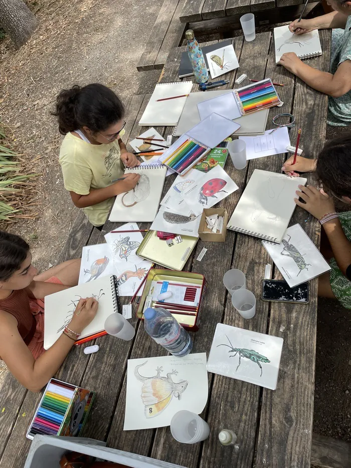 Atelier de dessin naturaliste pour une immersion artistique au cœur du parc Parc de la Conque Vence