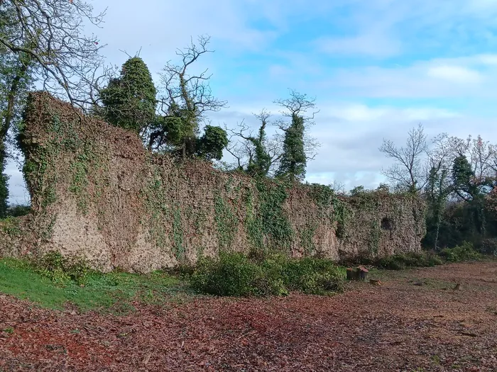 Visite commentée des ruines de la Bâtie d'Azieu à Genas Parc des étangs de Mathan