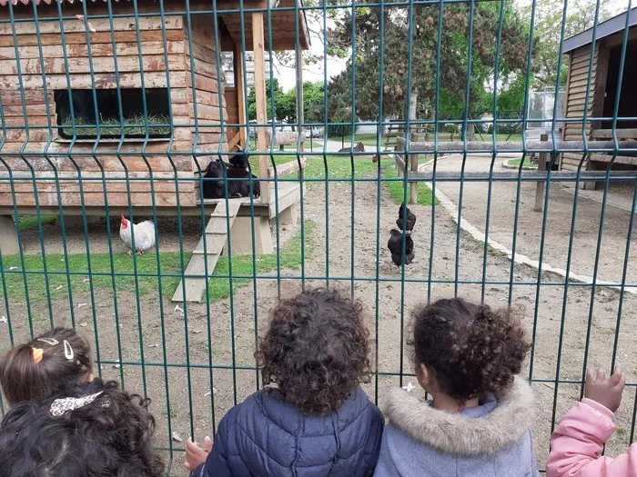 Visite de la volière et présentation des animaux du parc Georges Nouelle Parc Georges Nouelle et jardin géobotanique Chalon-sur-Saône