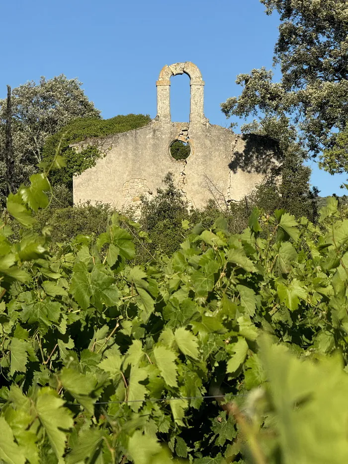 Randonnée découverte des domaines viticoles Parking Bouchard Gignac