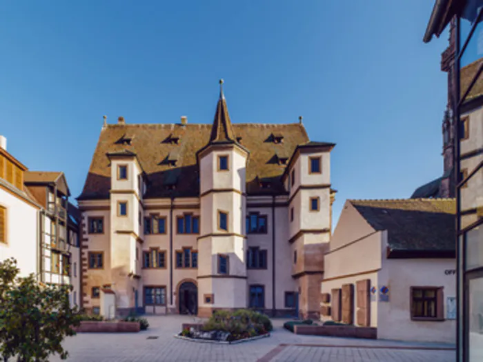 Levez les yeux : visite guidée "Sélestat à la Renaissance" Parvis de la Bibliothèque Humaniste Sélestat