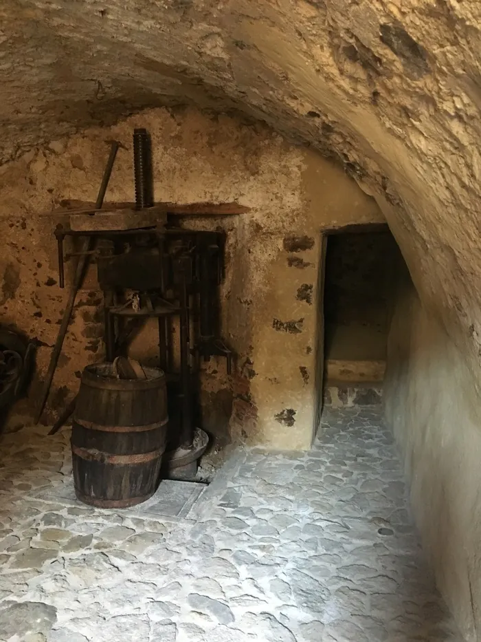 Visite du moulin à huile de la maison Vincentelli Place de Belgodere Belgodère