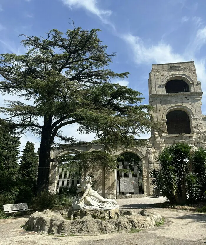 Atelier famille : "Le jardin d'été : apprendre en regardant" Place de la République Arles