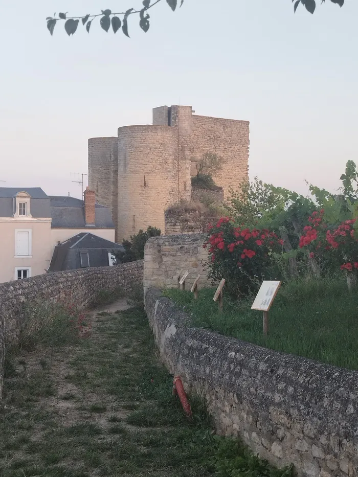 Partez à l'assaut des remparts de Thouars avec le Club Archéo ! Place du Boël Thouars