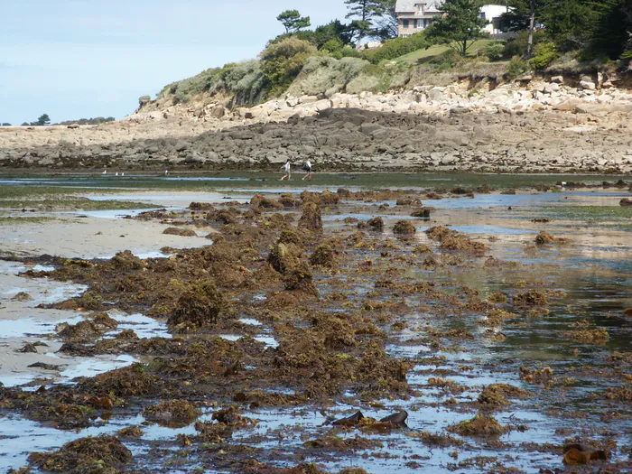 Les anciennes pêcheries de Pors Termen à Trébeurden Plage de Pors Termen Trébeurden