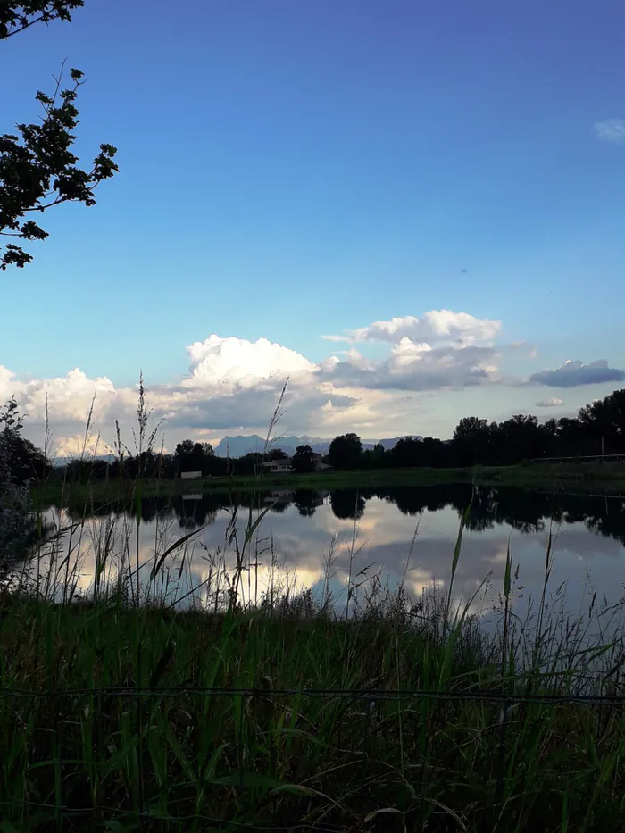 "Sur l’itinéraire des graviers et galets" : balade aux Lacs des Petits Robins Plan d'eau