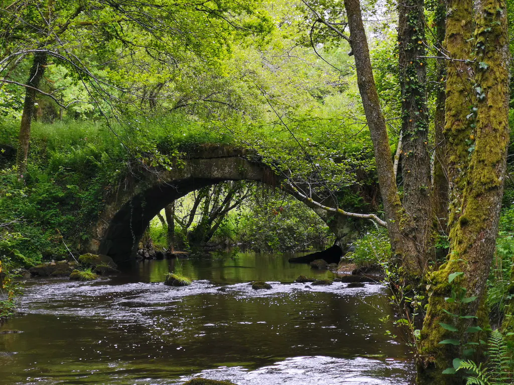 Boucle Locale N°52 Sardent et la vallée de la Gosne Sardent Nouvelle-Aquitaine