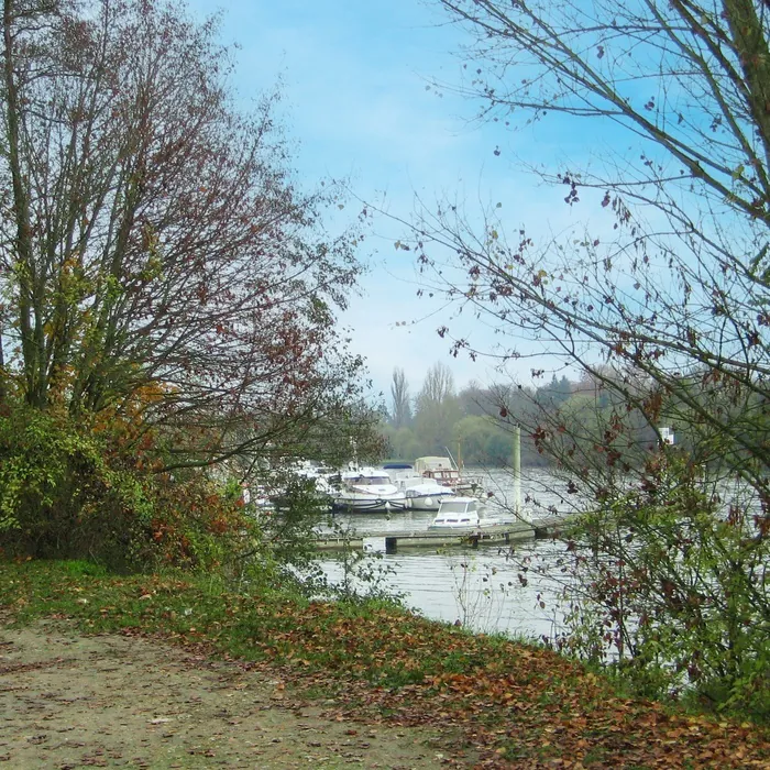 Parcours à la découverte du patrimoine naturel sauvage des berges de Seine d'Avon Port d'Avon Avon