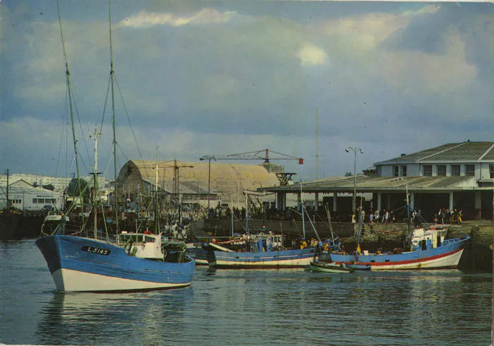 Visite guidée : le patrimoine portuaire et maritime