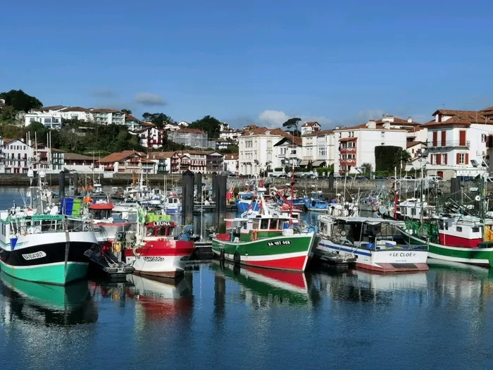 Exposition : « préservation de la biodiversité » Port de pêche Saint-Jean-de-Luz