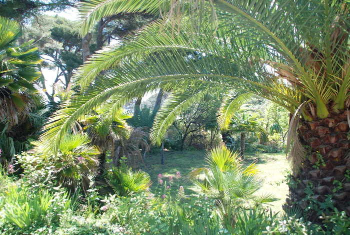 Du Port Vieux au MUGEL : sortie nature et patrimoine Port vieux La Ciotat