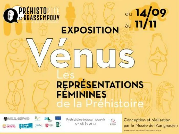 Visite spéciale de l'exposition : « Vénus