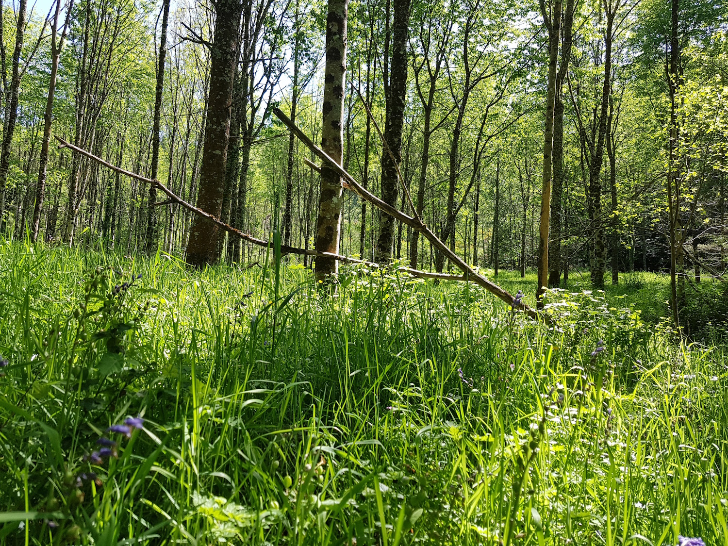 Journée de la nature et du patrimoine