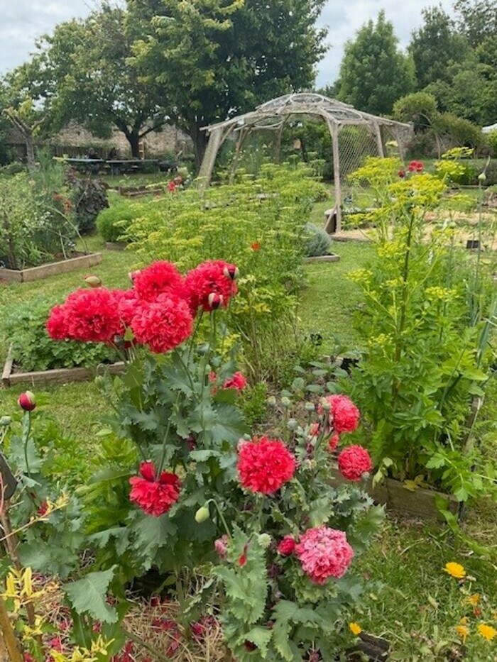 Visite : « relais nature de la Moulinette » Relais Nature de la Moulinette Aytré