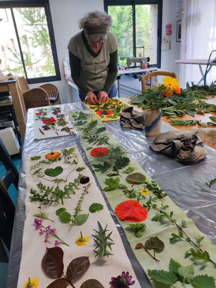 Expo et atelier "Teinture Vagabonde" avec Rozenn Gouret Réseau des médiathèques de Haut-Léon