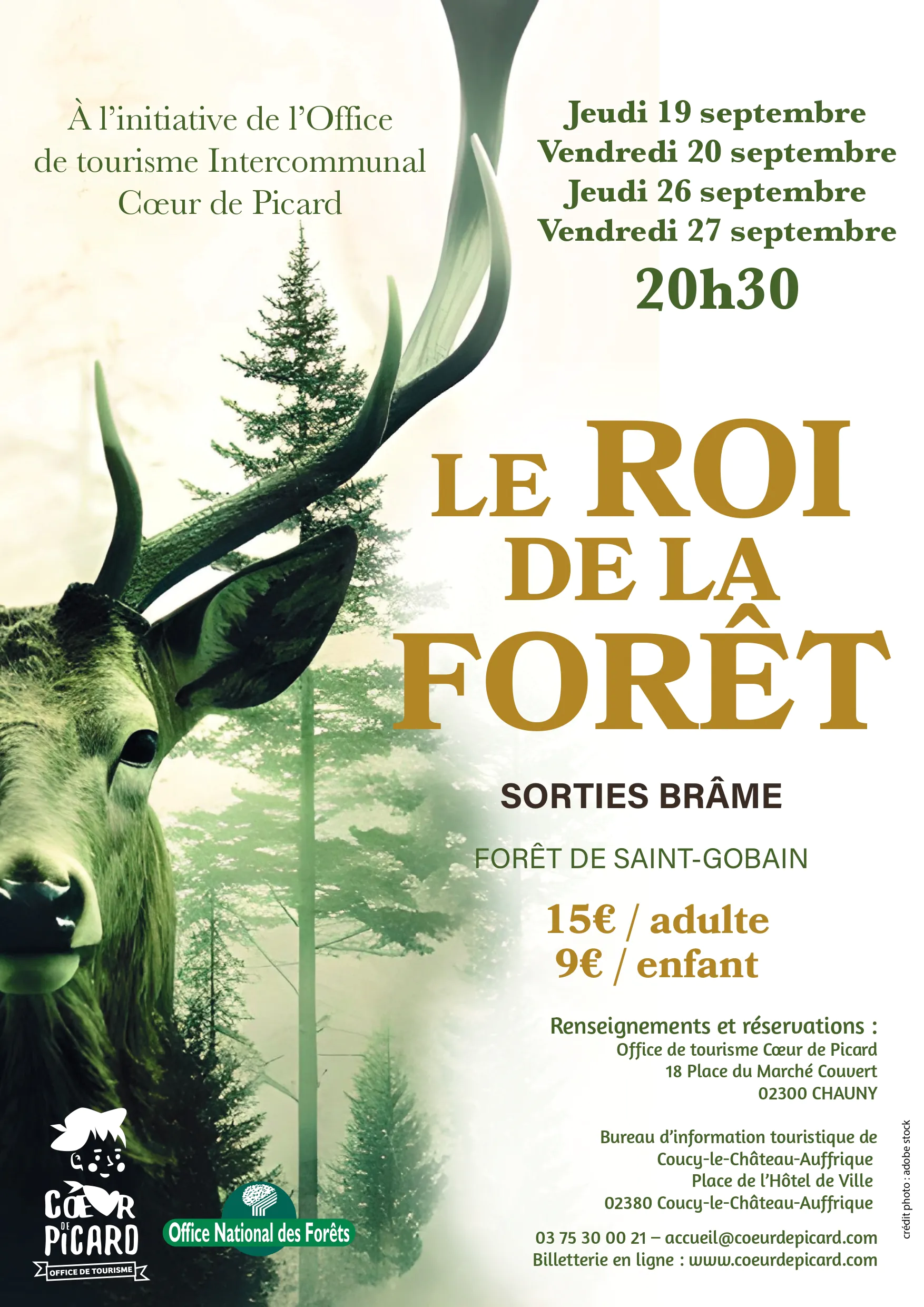 Soirées Brame du Cerf