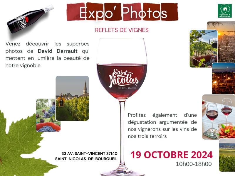 Reflets de Vignes