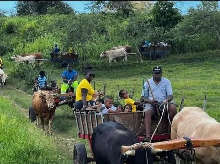 BALADE EN CHARRETTE A BŒUFS SECTION MARLY Sainte-Anne