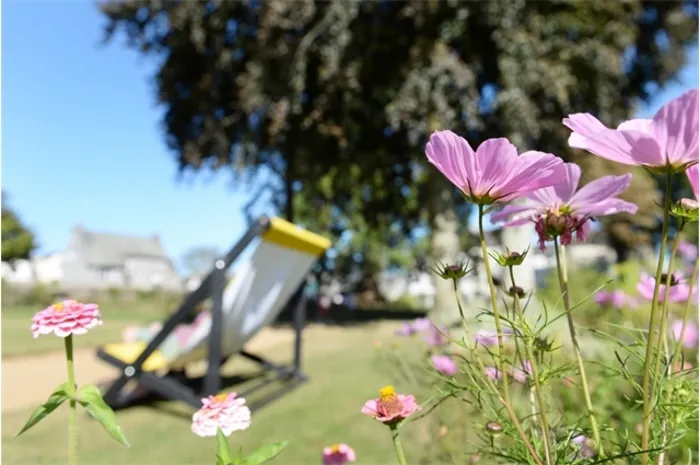 Bibliothèque buissonnière à la fête des Plantes Serre de la Ville Jouha Saint-Brieuc