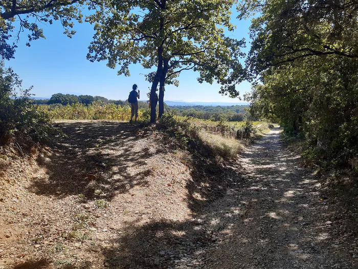 visite commentée du sentier de découverte du patrimoine de Grignan site de Rochecourbière Grignan