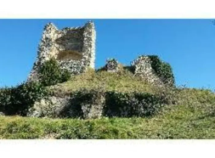 Visite site féodal et rocher de la Pangée site féodal La Baume-Cornillane La Baume-Cornillane