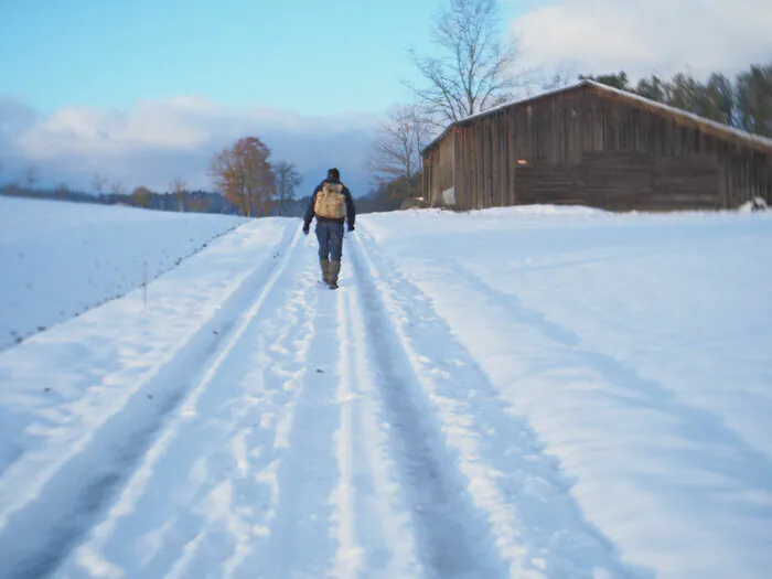 SUR LE CHEMIN DES GLACES - WERNER HERZOG / BRUNO GESLIN Théâtre L'Aire Libre Rennes