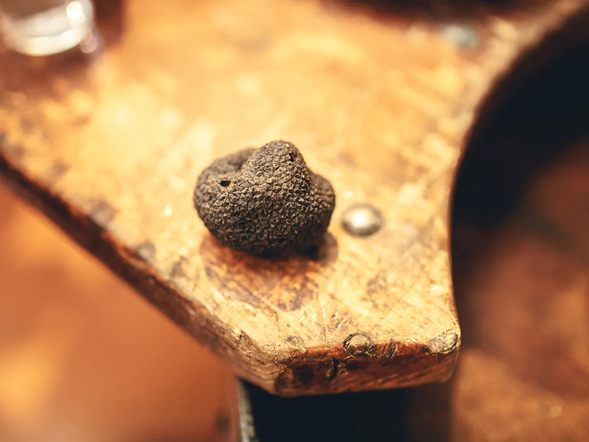 MARCHÉ AUX TRUFFES ET PRODUITS DE L'AUDE