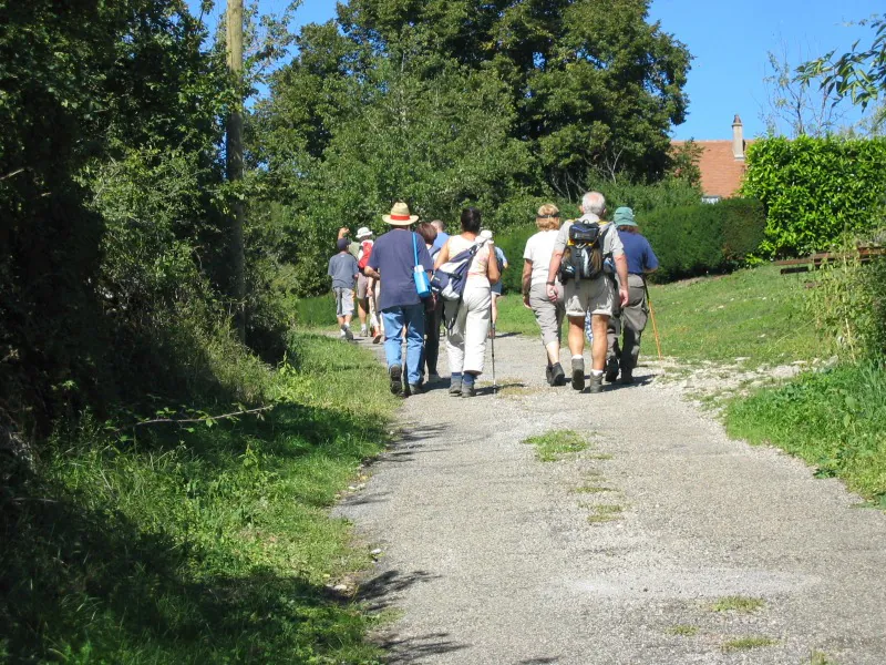 Journées Européennes du Patrimoine balade botanique