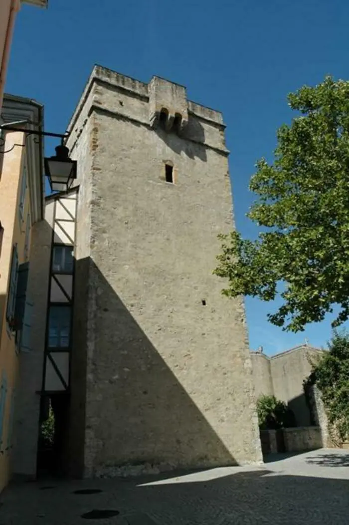 Visite guidée de la Tour de Garnavie Tour de Garnavie Lourdes