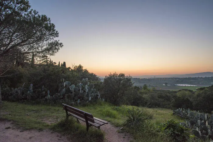 Les arbres de demain Villa Aurélienne Fréjus Fréjus