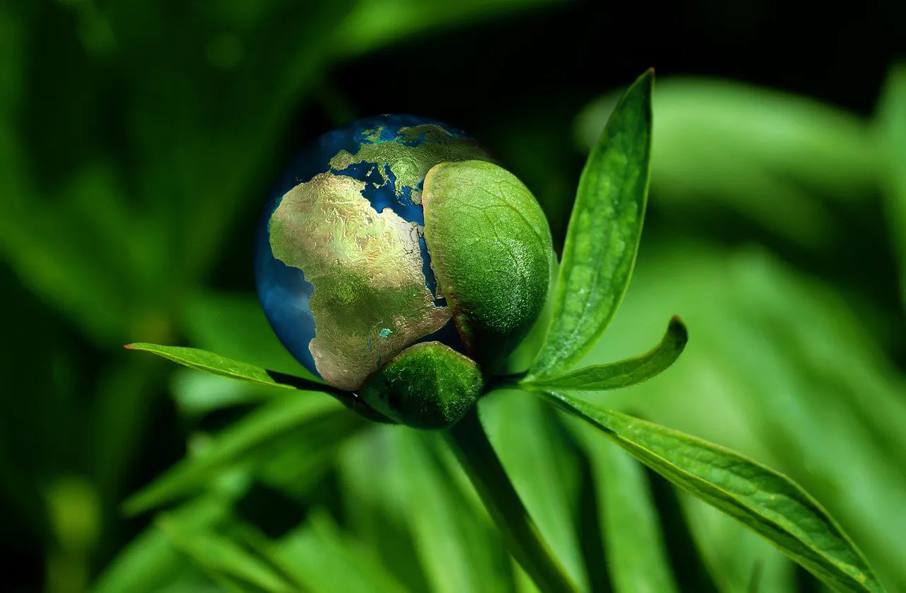 Jeu de piste "Biodiversité et climat même combat !"