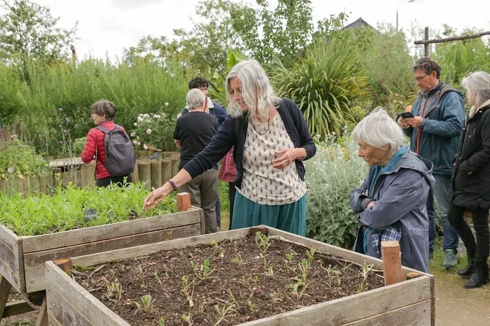 Apprendre à tailler et soigner ses arbustes et ses fruitiers Jardin partagé de la ZAC d'Armorique Rennes