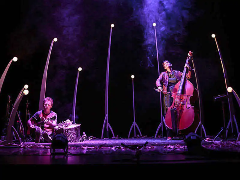 Musique Les fées de l'arbre