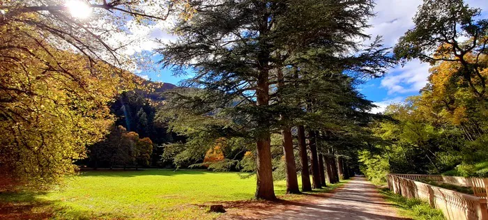 Visite guidée: la forêt de Saoû