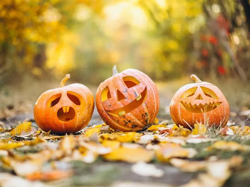 HALLOWEEN AU BAMBESCH  JEU DE PISTE POUR LES ENFANTS