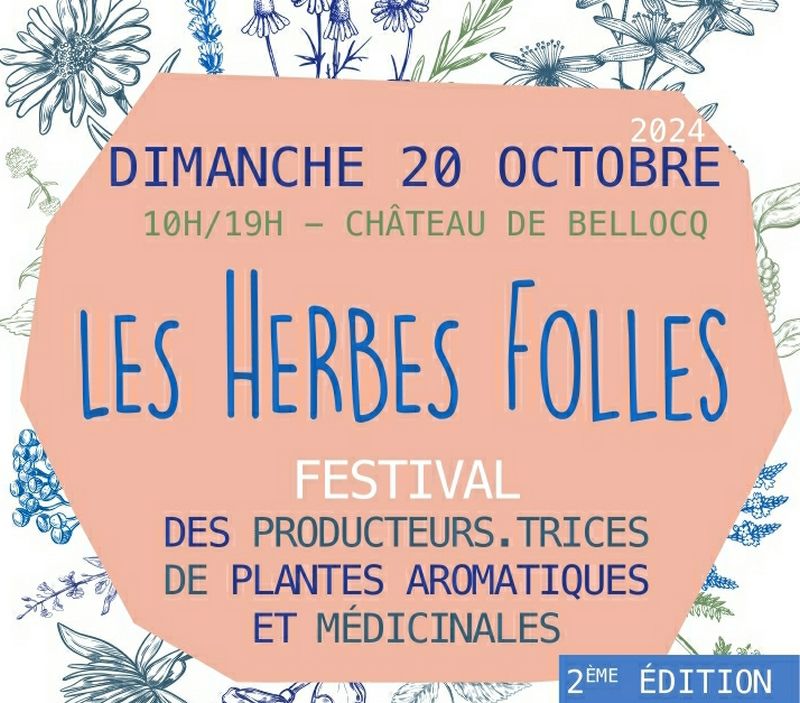 Festival Les Herbes folles