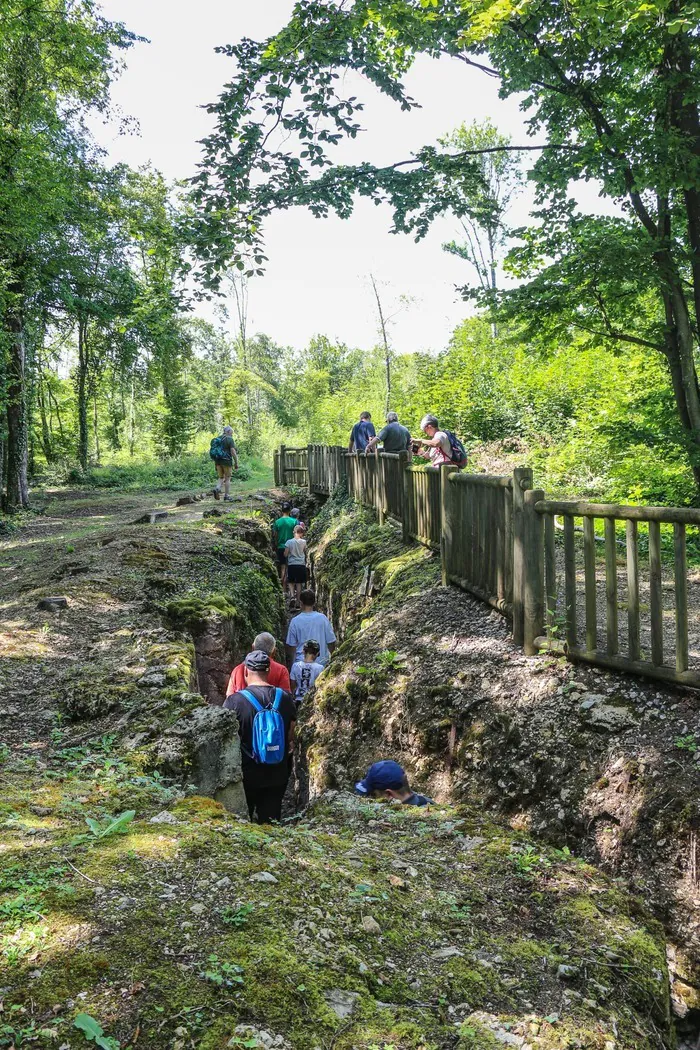 Visite guidée de tranchées de la Première Guerre mondiale Bois-Brûlé - Croix des Redoutes Apremont-la-Forêt