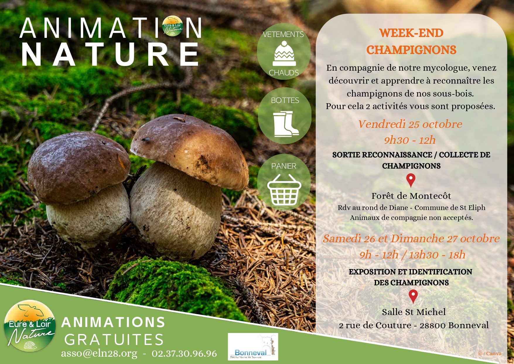 Exposition et identification des champignons