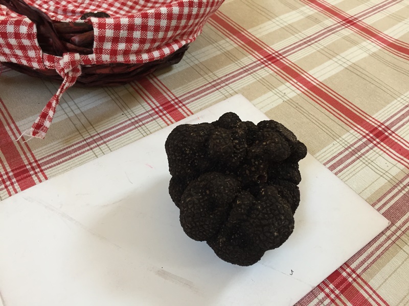 Marché contrôlé de producteurs locaux de truffes