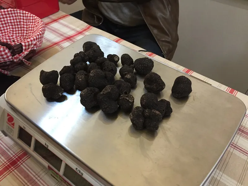 Marché contrôlé de producteurs locaux de truffes