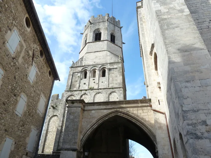 Visite de la Tour Saint-Michel - Cathédrale Saint-Vincent de Viviers Cathédrale de Viviers Viviers