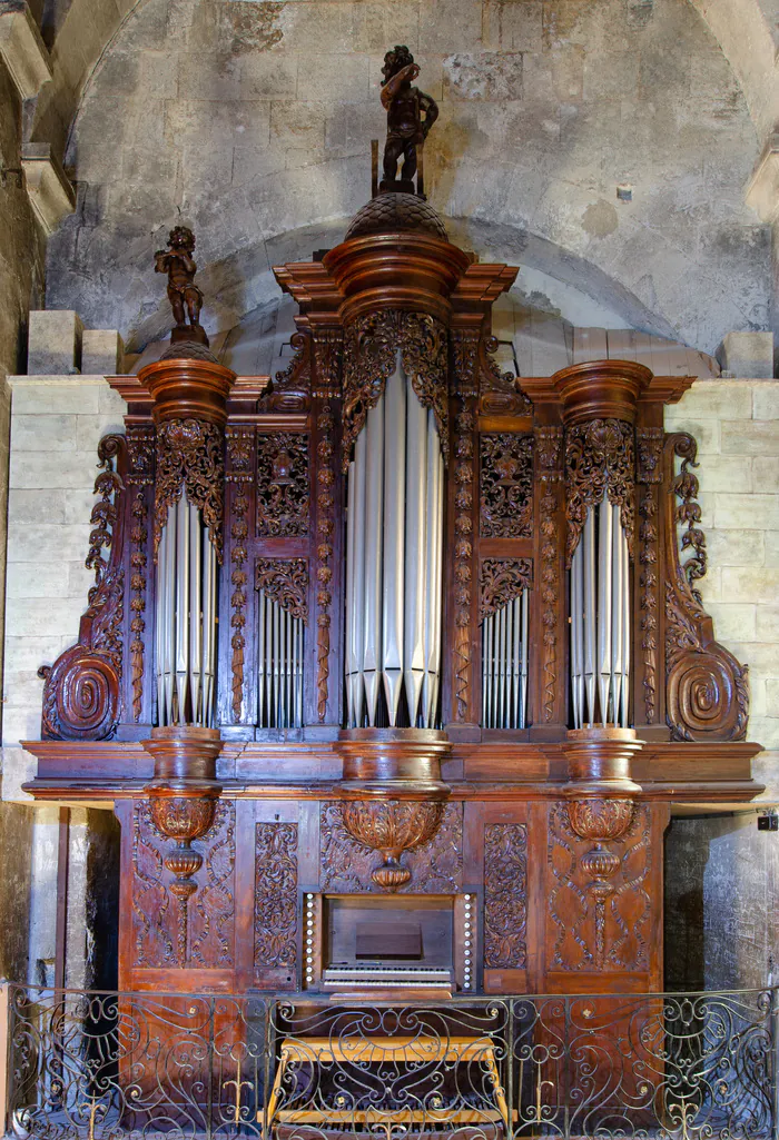 Dans le ventre de l'orgue Cathédrale Sainte-Anne Apt