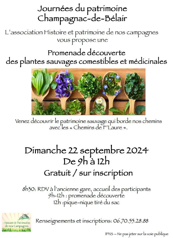 Journées européennes du patrimoine Promenade découverte des plantes sauvages comestibles et médicinales