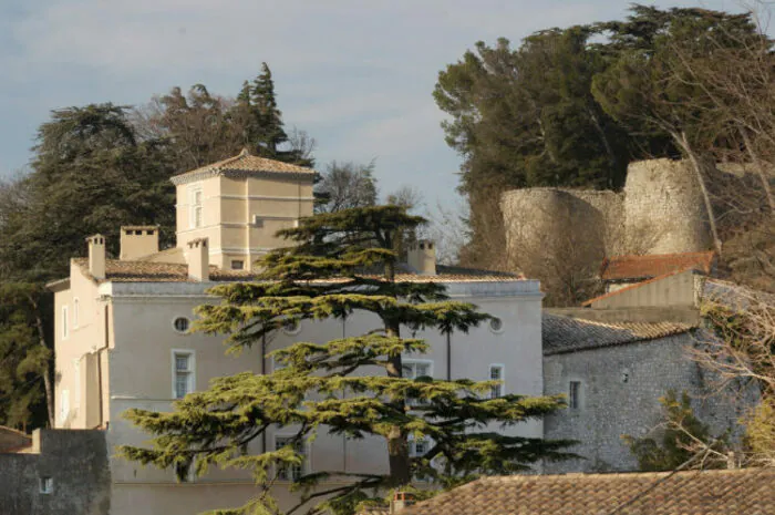 VISITE DU CHATEAU DE DONZERE Château de Donzère Donzère