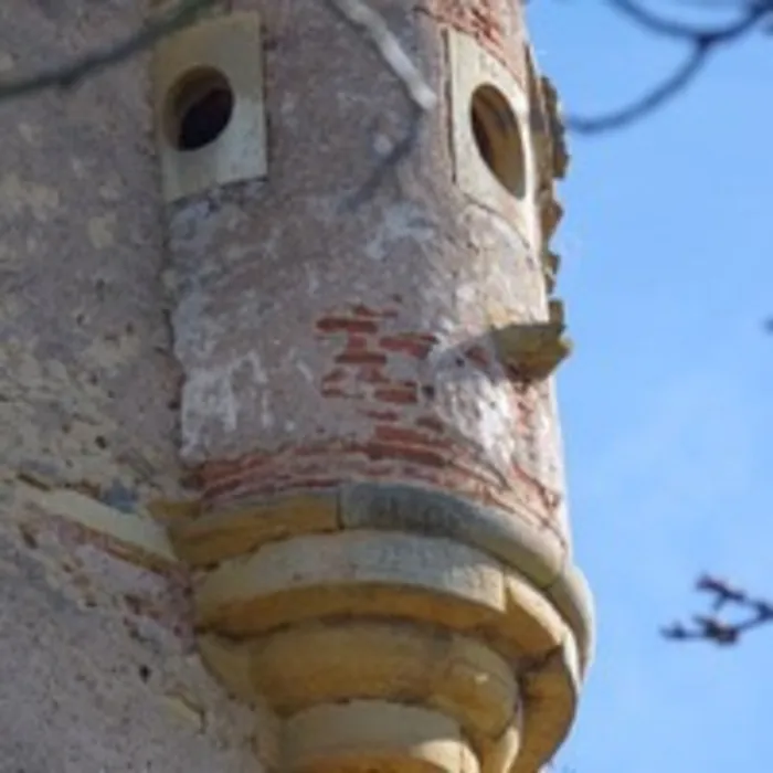 Vers la renaissance d'un château oublié entre Forez et Lyonnais Château de Jarnosse Jarnosse