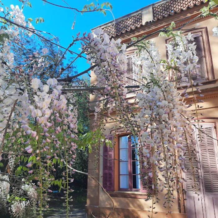 Levez les yeux vers la Moutte. À la découverte de l'histoire du château et du fonds ancien de littérature pour la jeunesse de sa bibliothèque. Château de la Moutte - Domaine Emile Ollivier Saint-Tropez