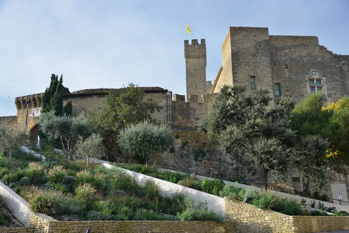 ANIMATIONS MÉDIÉVALES AU CHÂTEAU Château de l'Emperi 13300 Salon de Provence Salon-de-Provence